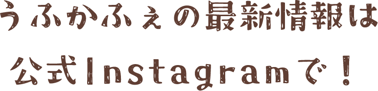 うふかふぇの最新情報は公式Instagramで！